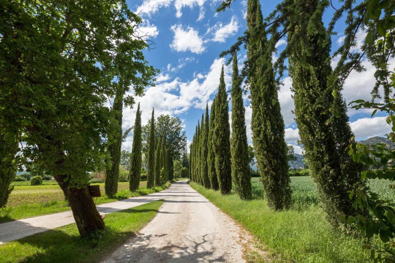 גוביו Agriturismo Casella Del Piano מראה חיצוני תמונה