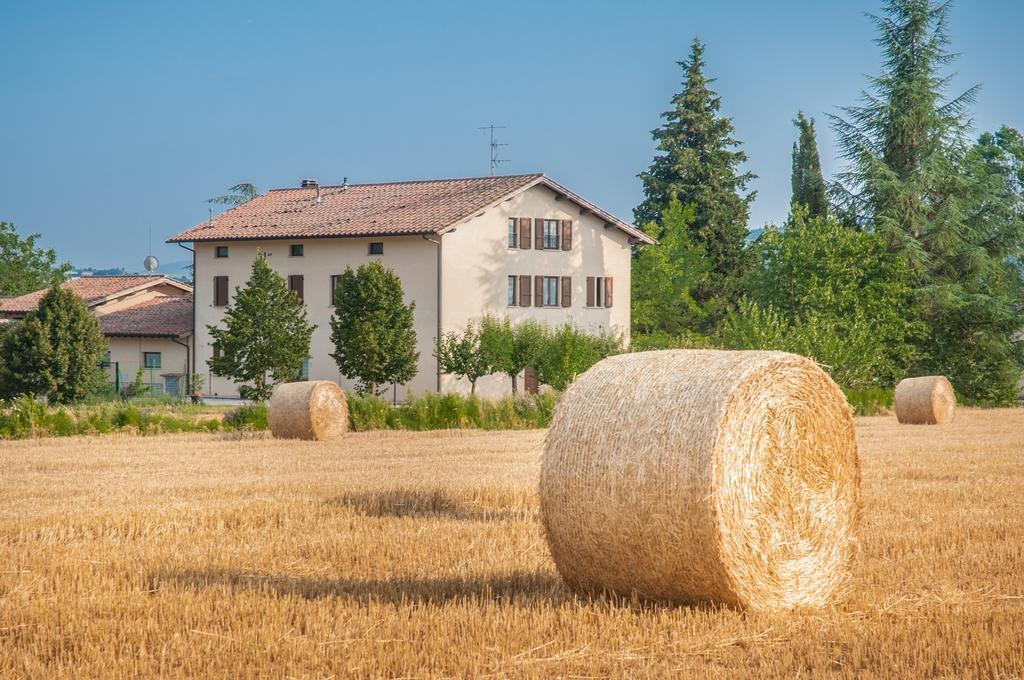 גוביו Agriturismo Casella Del Piano מראה חיצוני תמונה